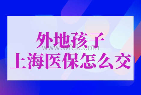 外地孩子上海医保怎么交